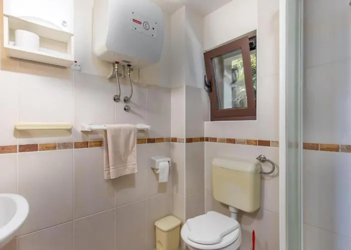 Apartament With Balcony And 1 Nijvice